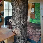 Tree House Ramona & Fairytale Wooden House By Ljubljana 4*