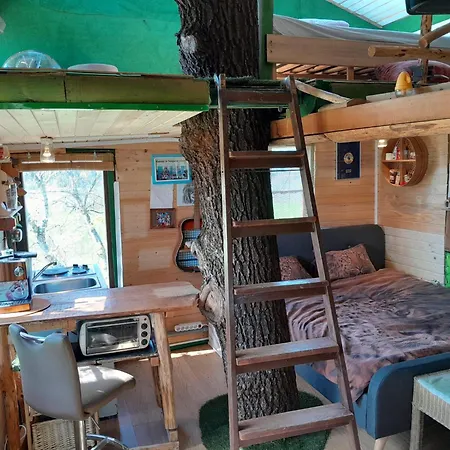 בית הארחה Tree House Ramona & Fairytale Wooden House By Ljubljana