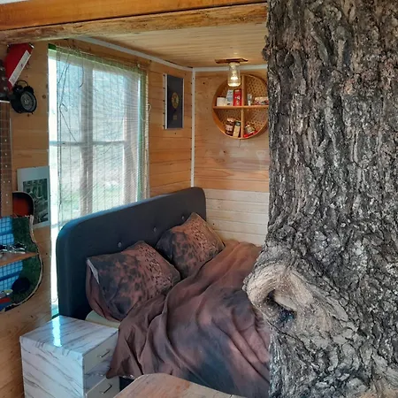Tree House Ramona & Fairytale Wooden House By Ljubljana Pensionat 4*