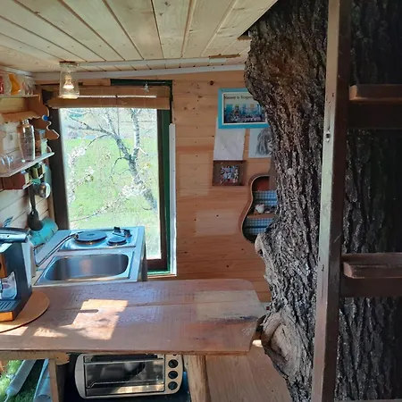 בית הארחה Tree House Ramona & Fairytale Wooden House By Ljubljana *