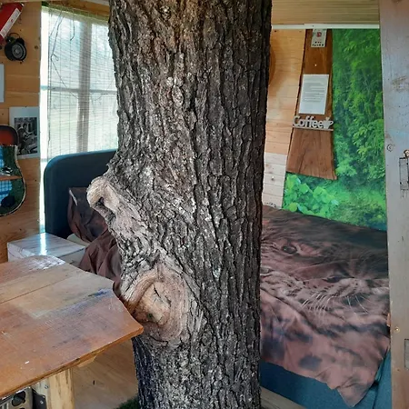 Tree House Ramona & Fairytale Wooden House By Ljubljana 4*