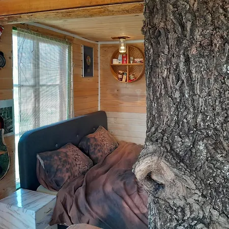 Tree House Ramona & Fairytale Wooden House By Ljubljana Konukevi 4*
