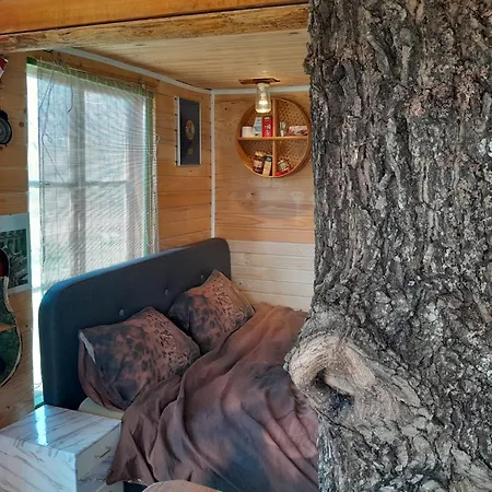 Tree House Ramona & Fairytale Wooden House By Ljubljana בית הארחה *