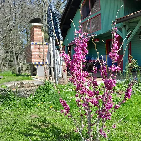 Tree House Ramona & Fairytale Wooden House By Ljubljana
