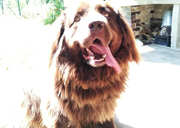 Guest house Tree House Ramona & Fairytale Wooden House By Ljubljana Grosuplje